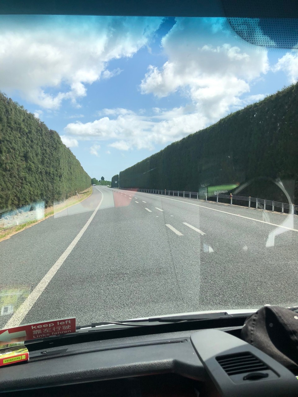 Neuseeland - Waihi Beach - Hinter den hohen Hecken verbergen sich Kiwiplantagen