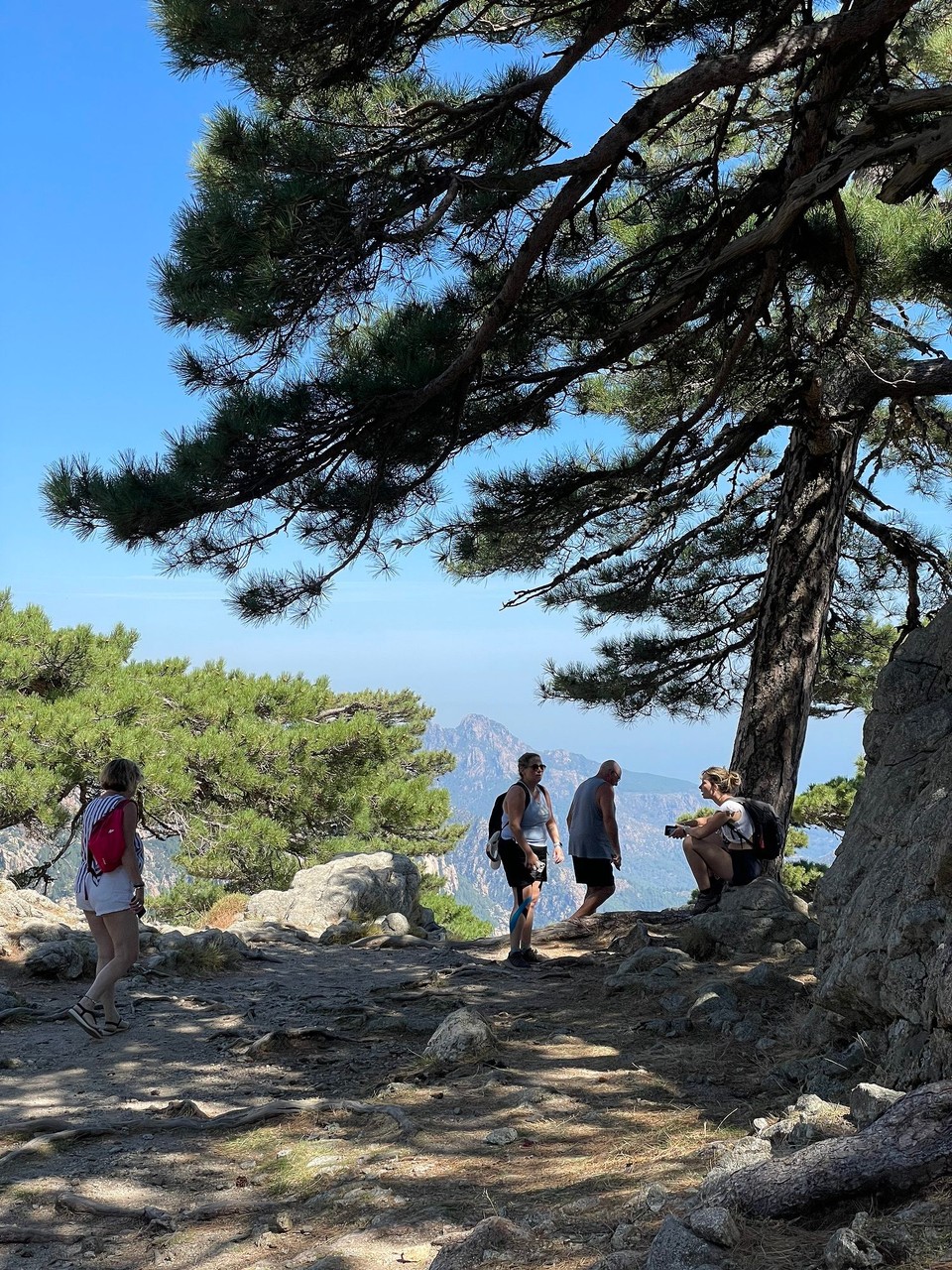 Frankreich - Quenza - 