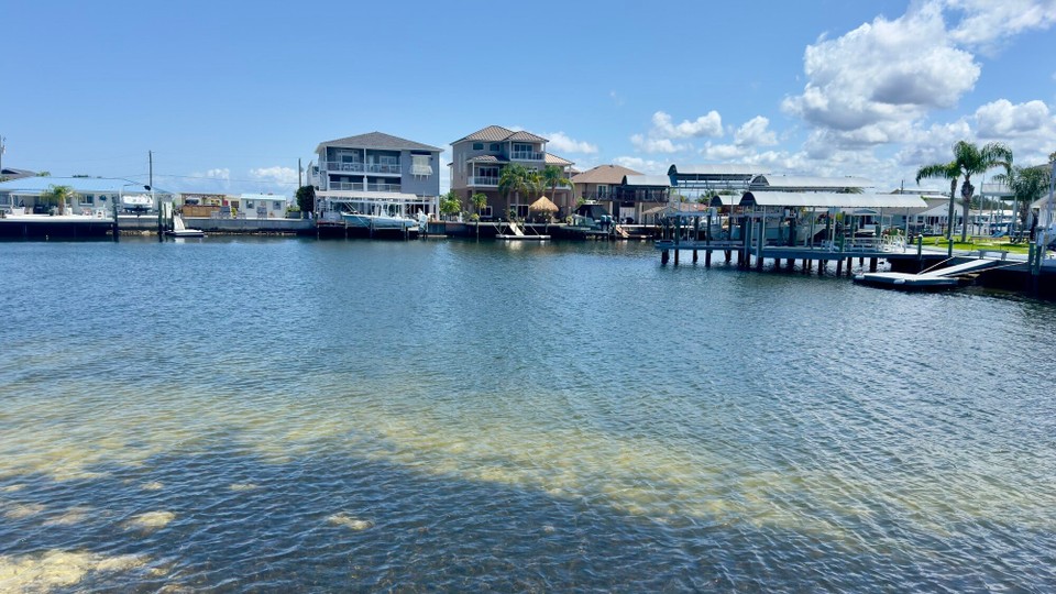 Vereinigte Staaten - Tampa - Gut zum Wohnen