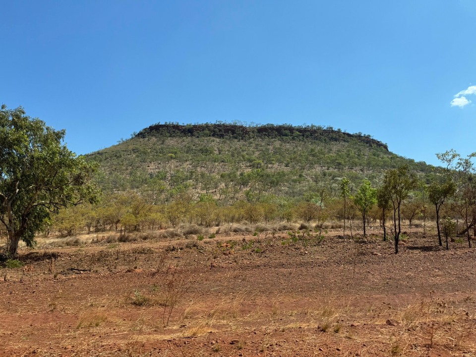 Australien - Mataranka - 