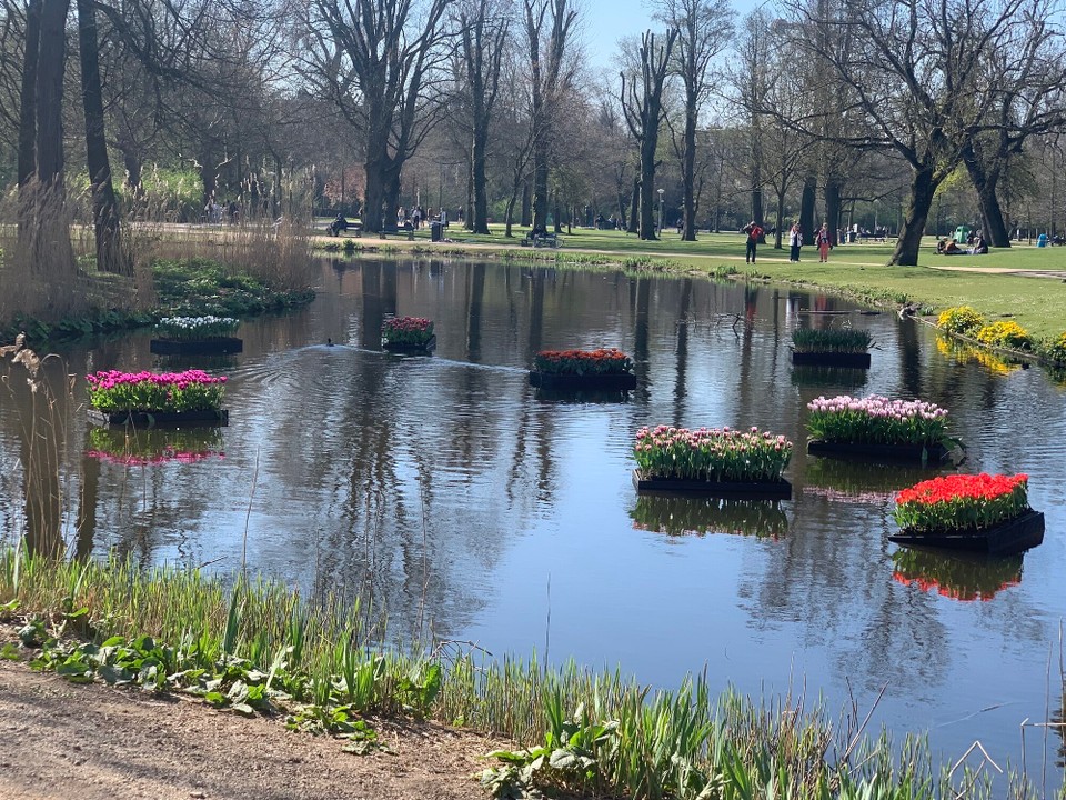 Netherlands - Amsterdam - 