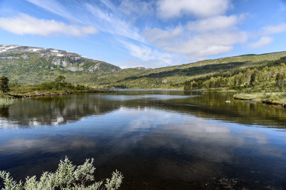 Norwegen - unbekannt - Unterwegs im Ånderdalen Nasjonalpark.