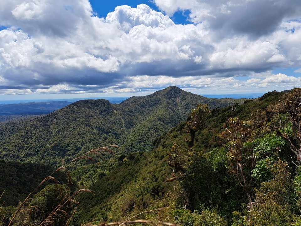 Neuseeland - Puketotara - 