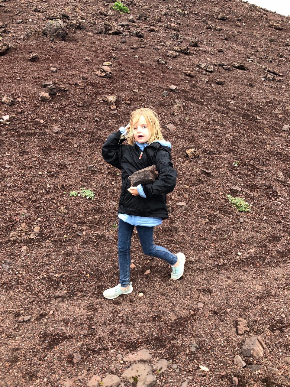 Island - Vestmannaeyjar - Auch hier findet Freia tolle Sachen…