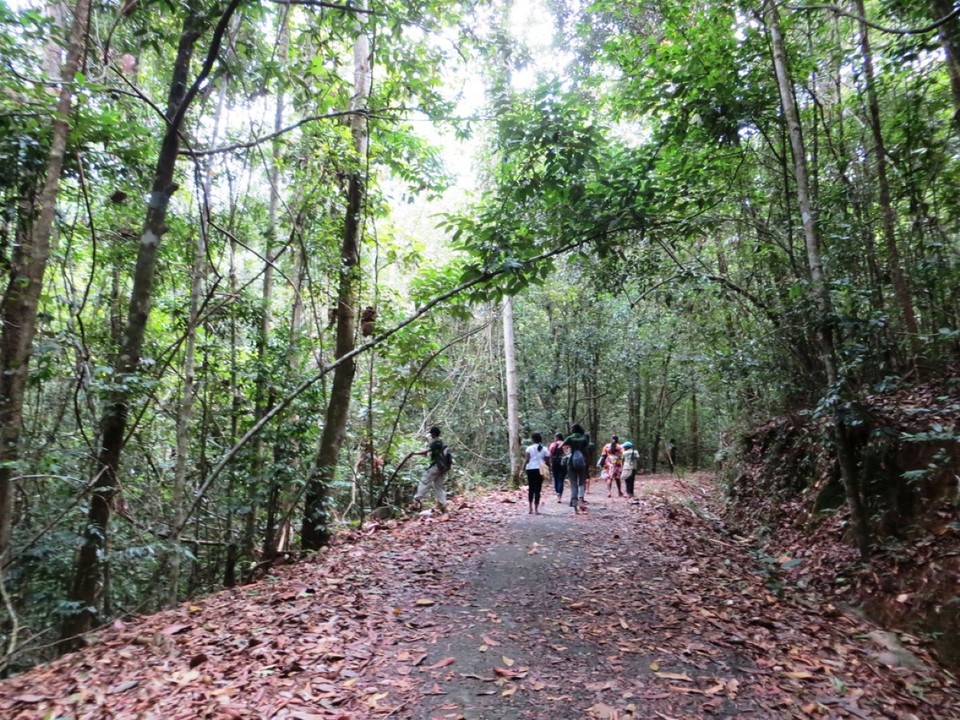 Sri Lanka - Kanneliya - 