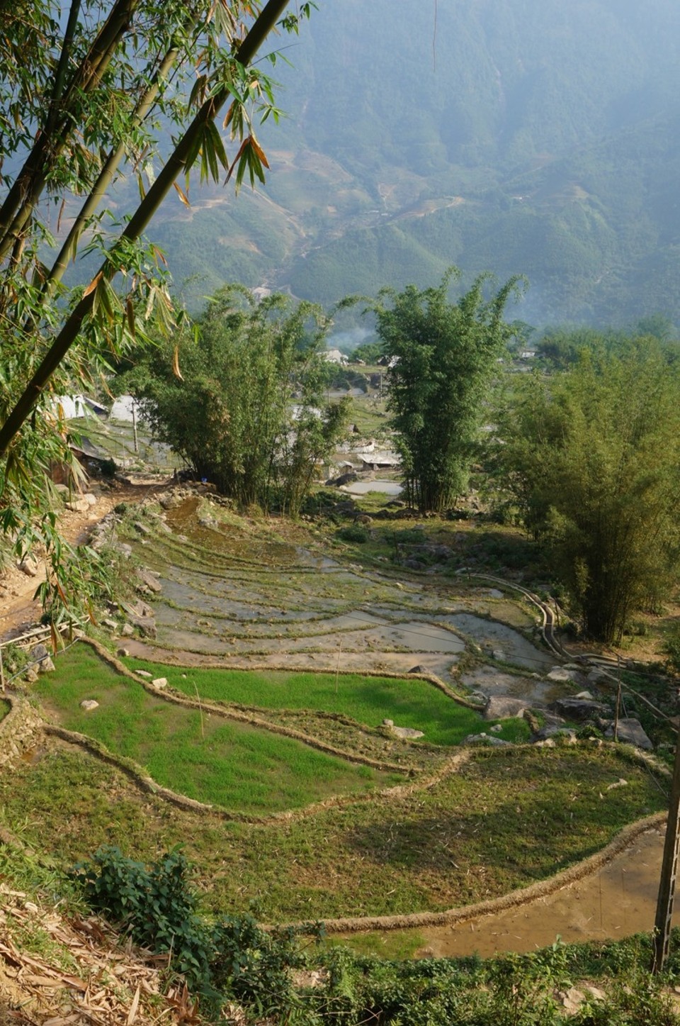 Vietnam -  - 