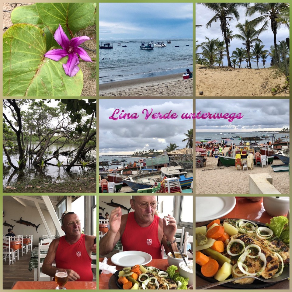 Brasilien - Mata de São João - 