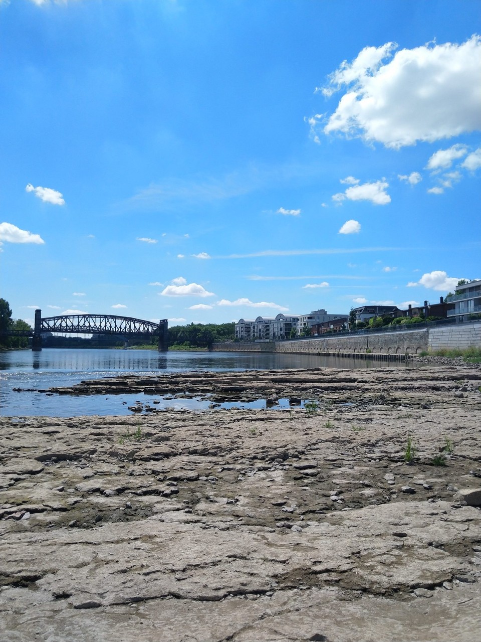 Deutschland - Magdeburg - Magdeburg wurde auf einem Felsen errichtet, der nur bei extremen Niedrigwasser erkennbar ist. Geologisch sehr spannend, weil einzigartig.