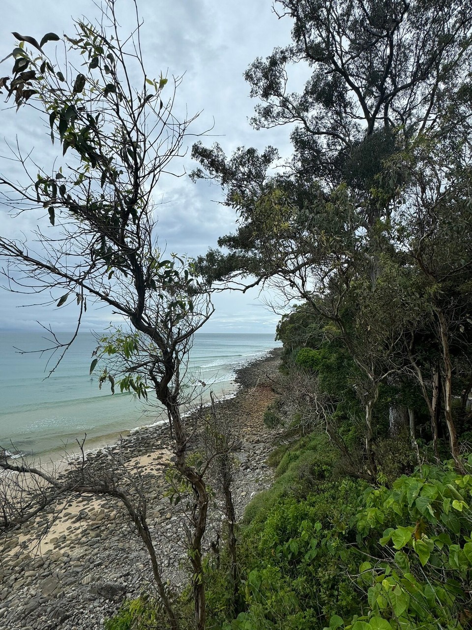 Australien - Noosa Heads - 