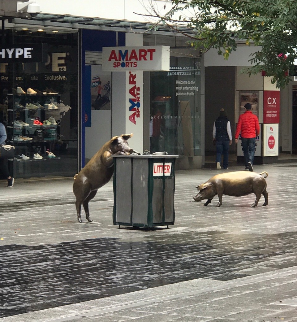 Australia - West Beach - Rundle mall piggies