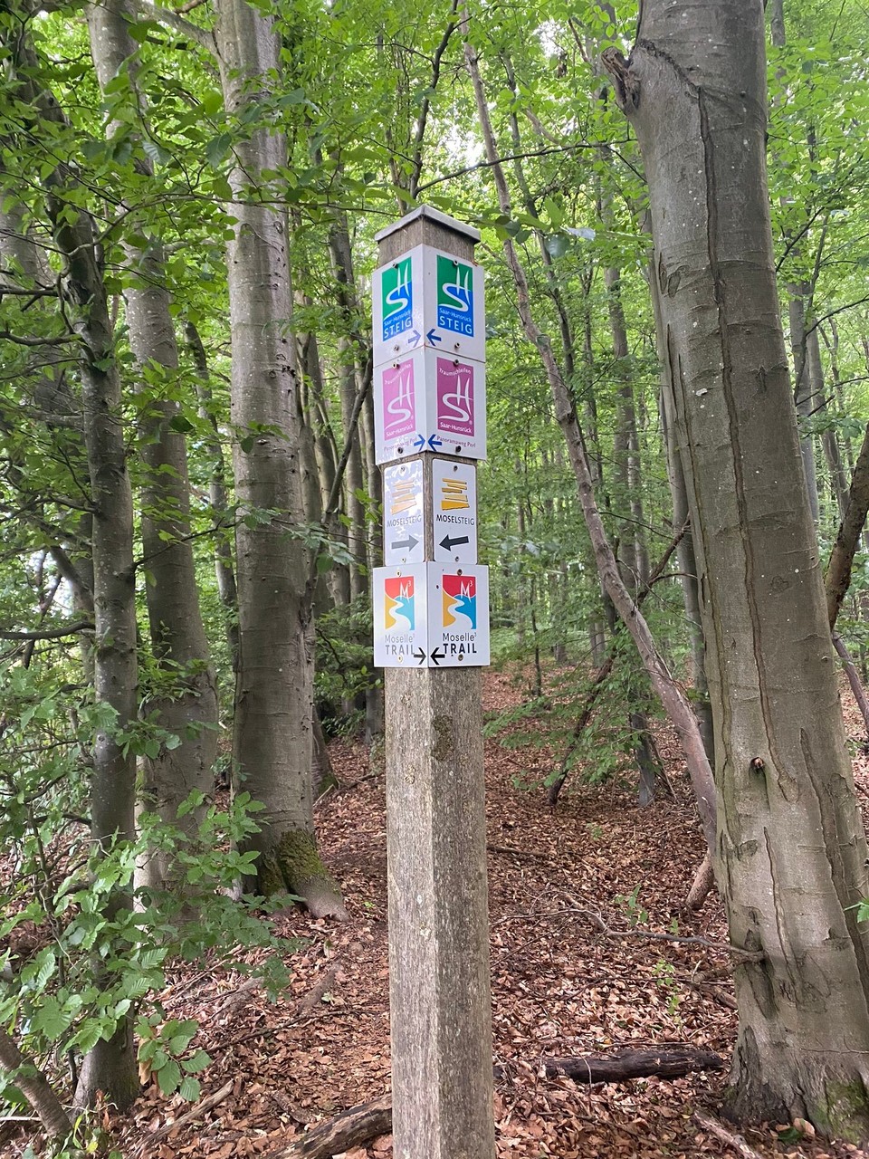 Deutschland - Palzem - Schilderwald