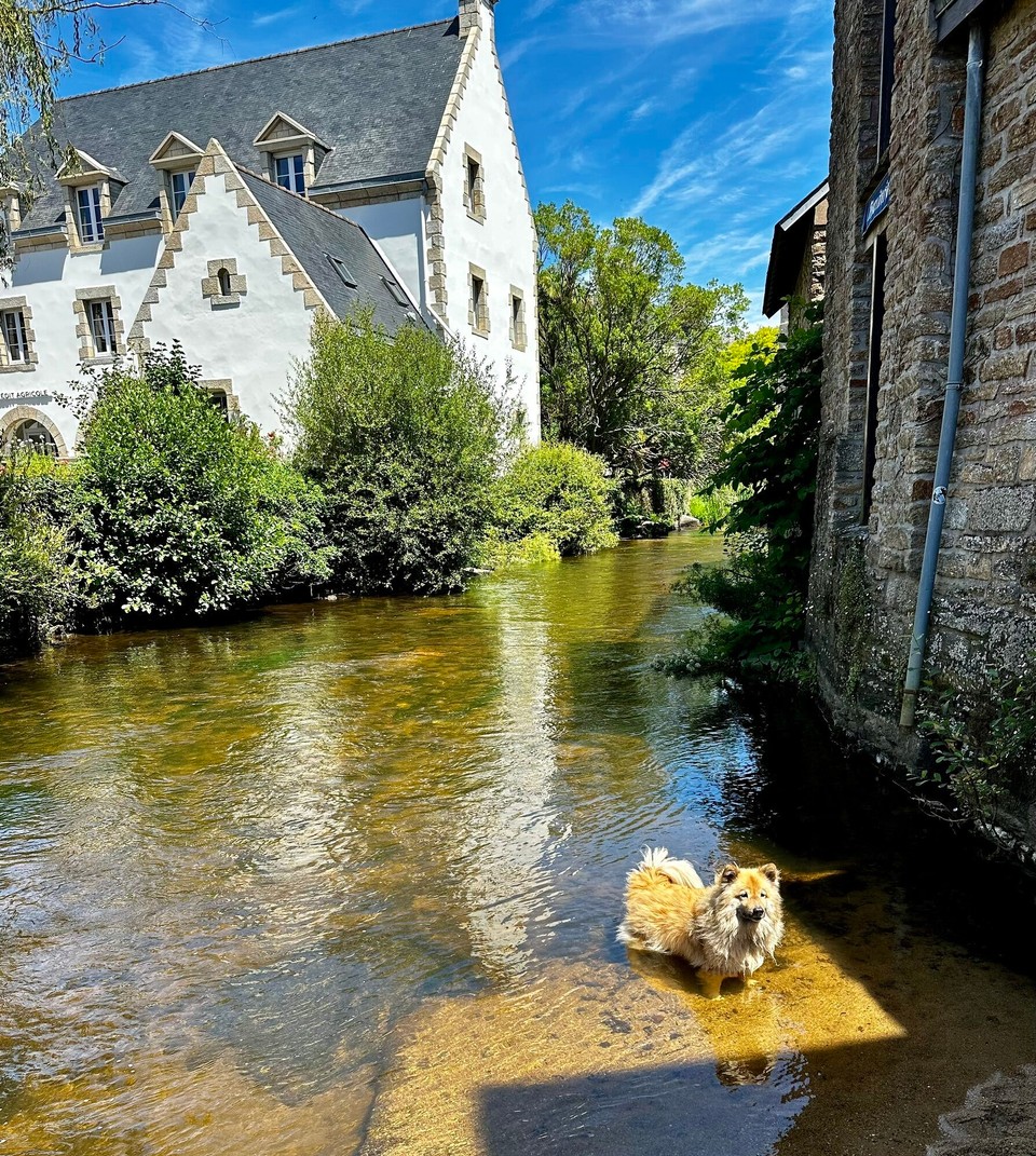 Frankreich - Concarneau - 