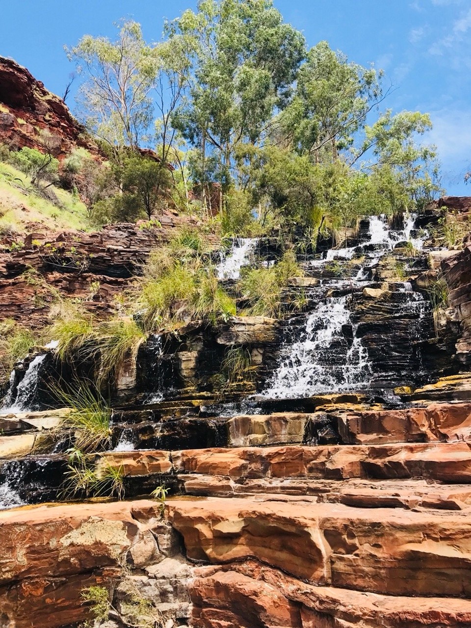 Australien -  - Fortescue Falls