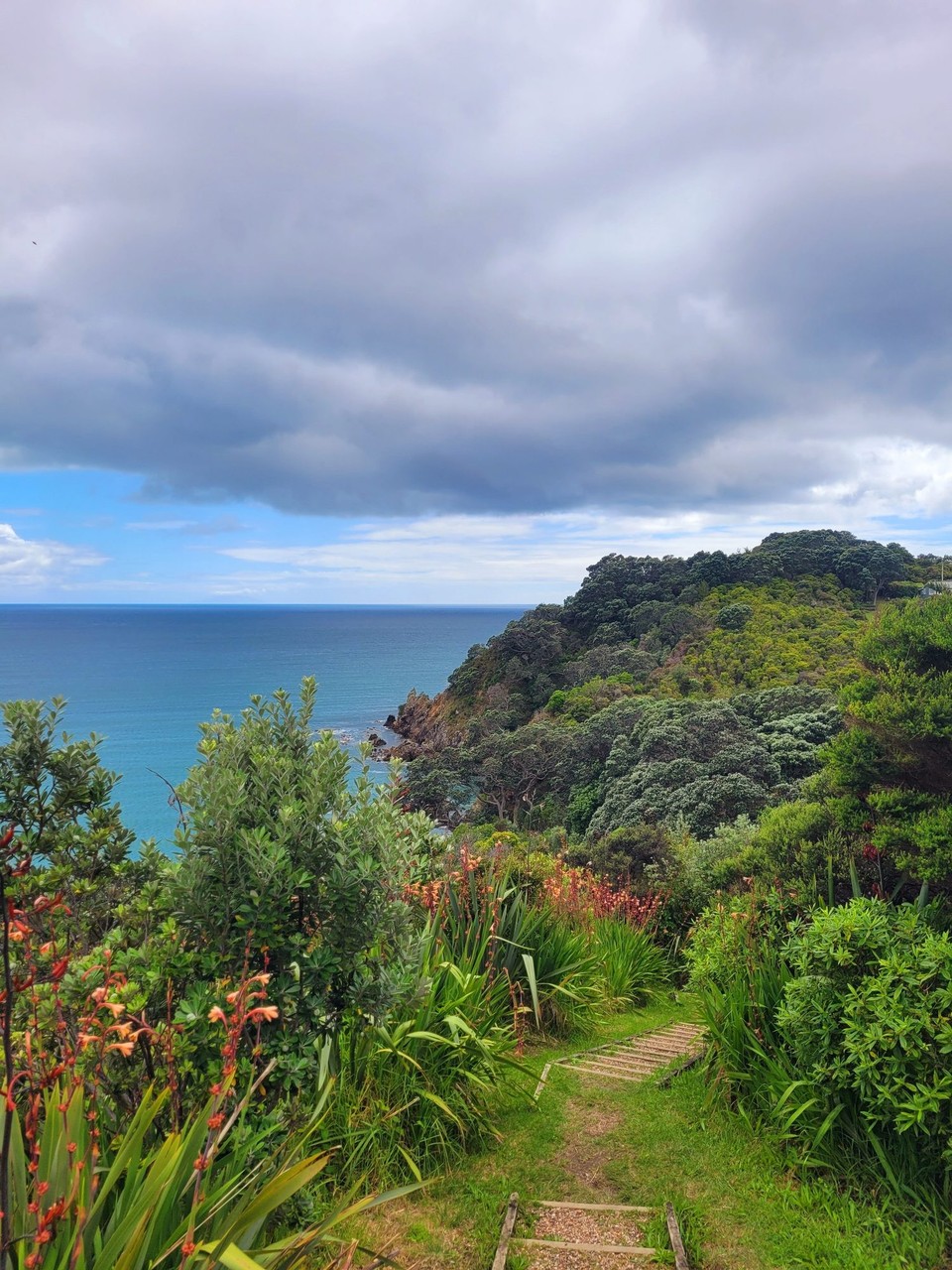 Neuseeland - Waiheke Island - 