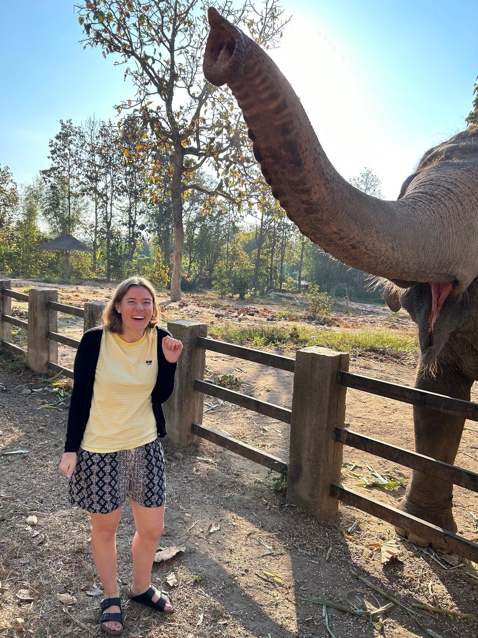 Thailand - Chiang Mai - 
