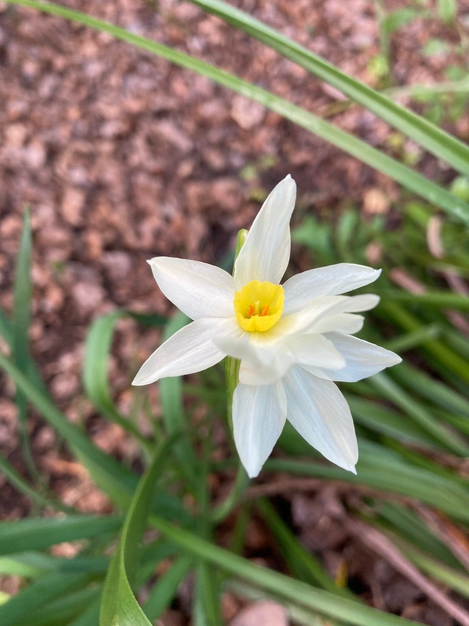 Neuseeland - Napier - 