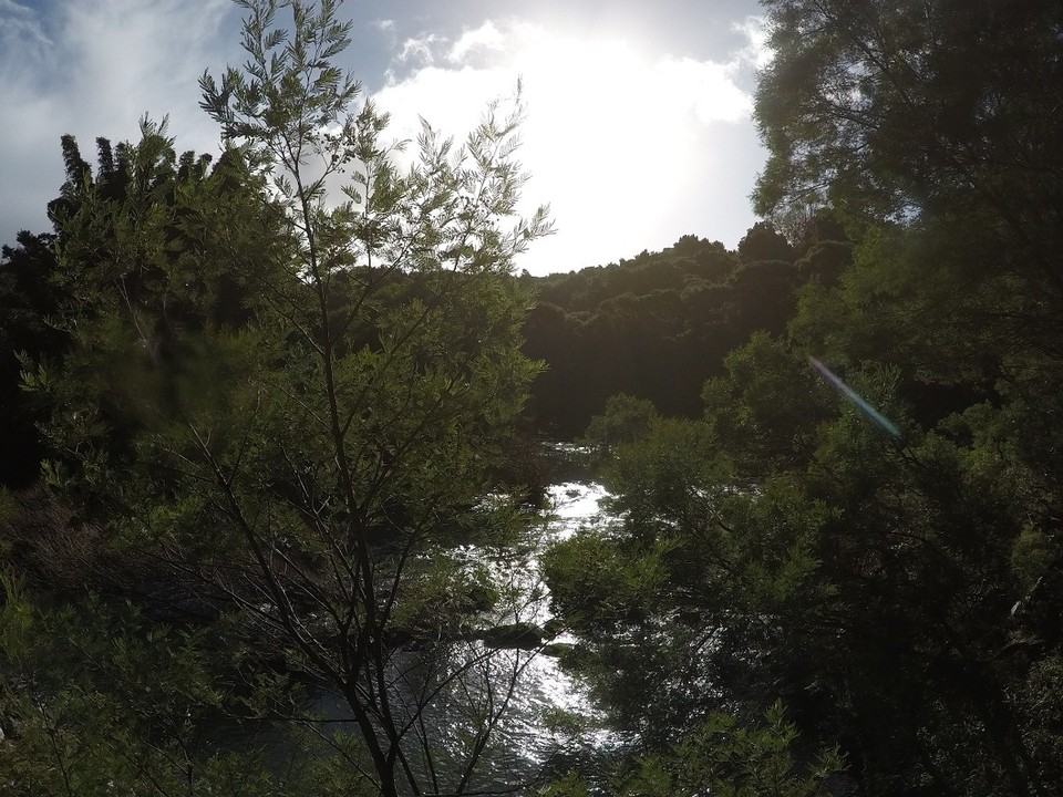 Neuseeland - Kerikeri - 