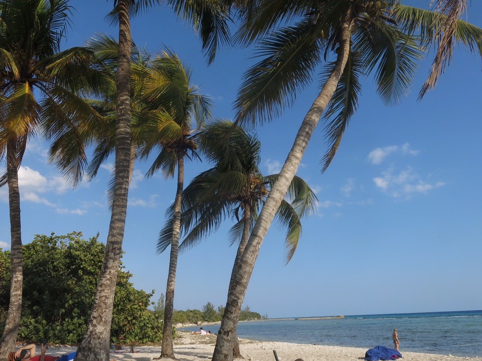  - Cuba, Playa Larga-Playa Girón - 