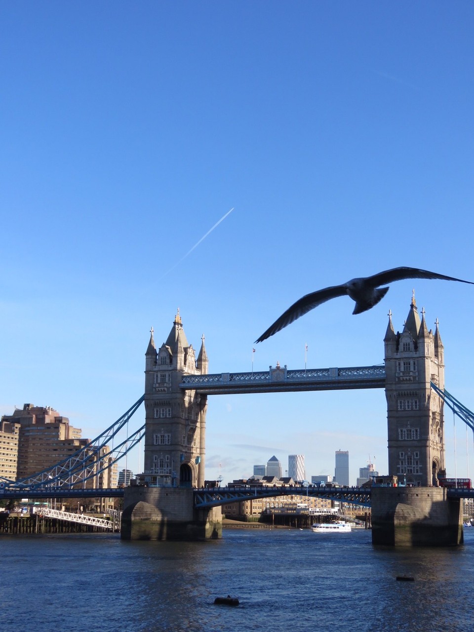 Vereinigtes Königreich - London - 