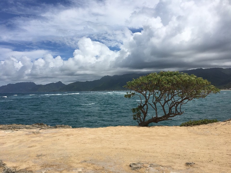 Vereinigte Staaten - Honolulu - 