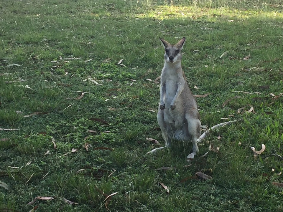 Australien - Katherine - 