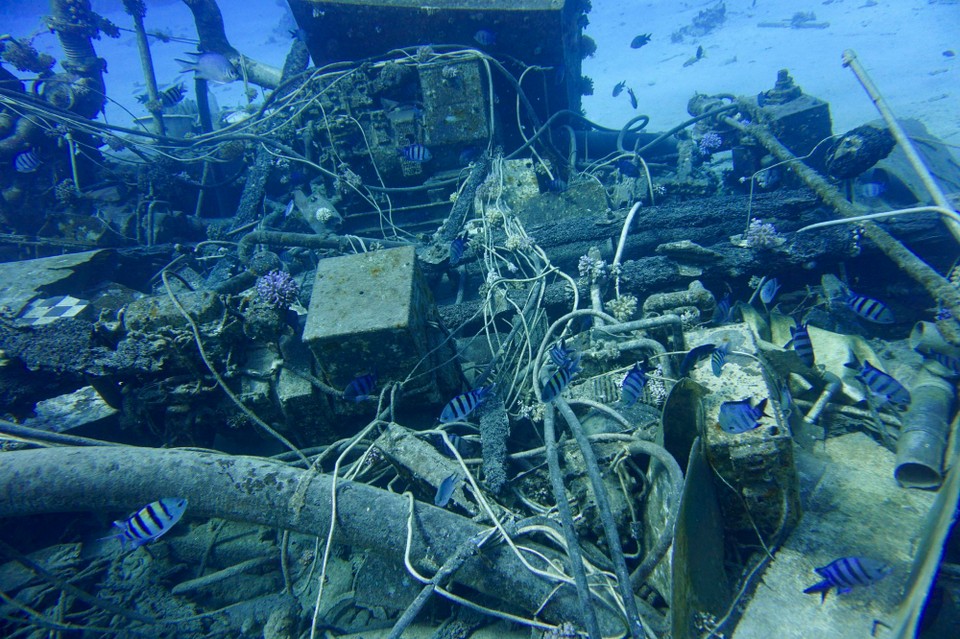 Ägypten - Marsa Alam - Das Wrack war voller Fische.