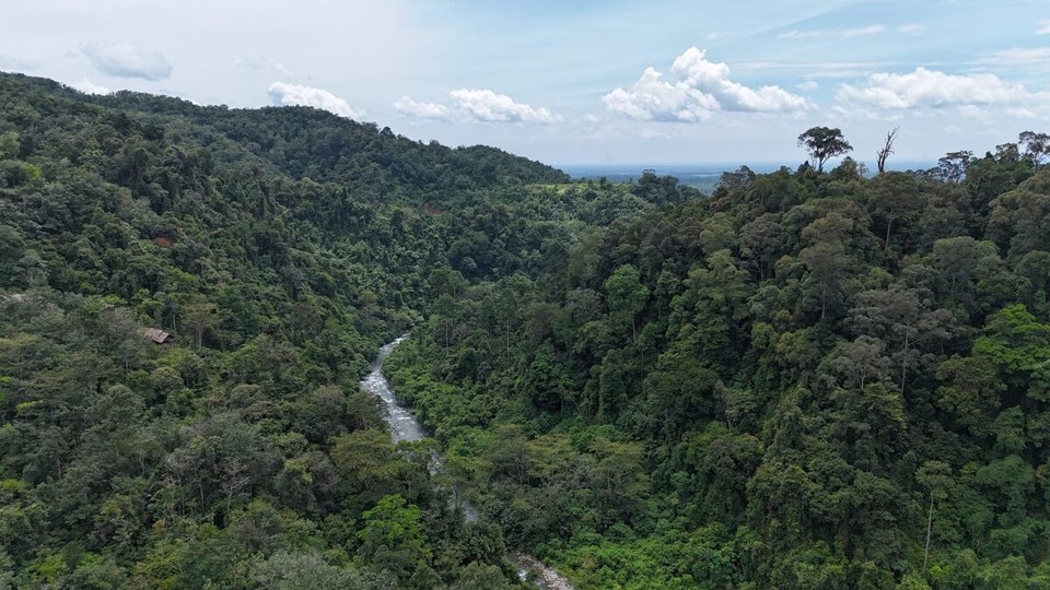 Indonesien - Kabupaten Langkat - 