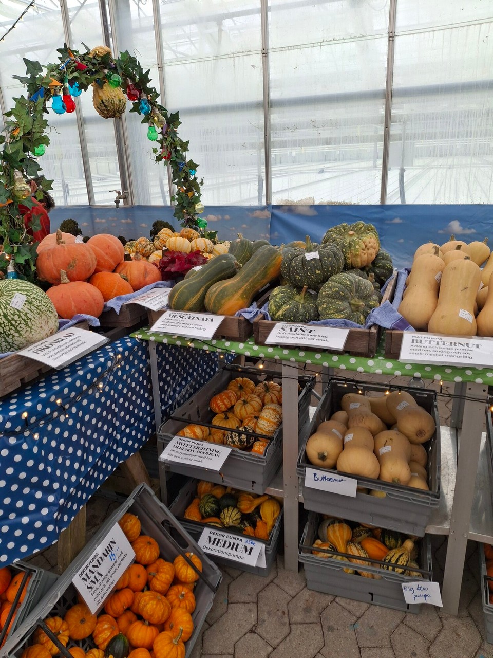 Schweden - Slottsträdgården - 