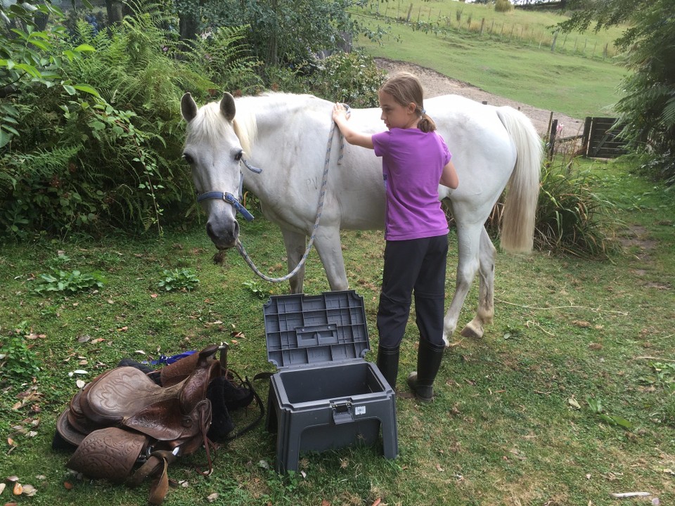 Neuseeland - Atiamuri - Danach haben ich das Pferd geputzt 
