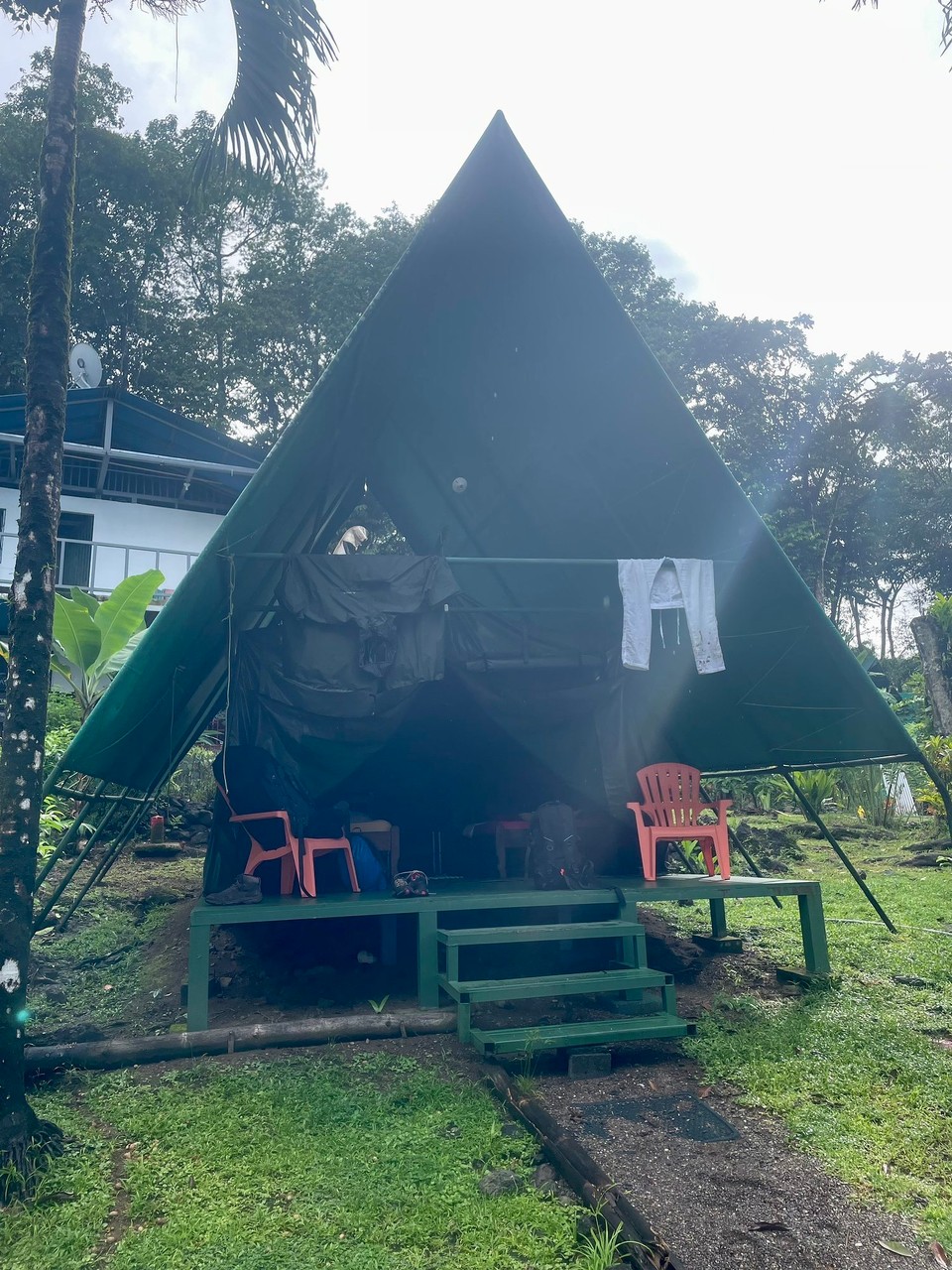Costa Rica - Osa - Das Glamping-Zelt für eine Nacht mitten in der Natur 🌱