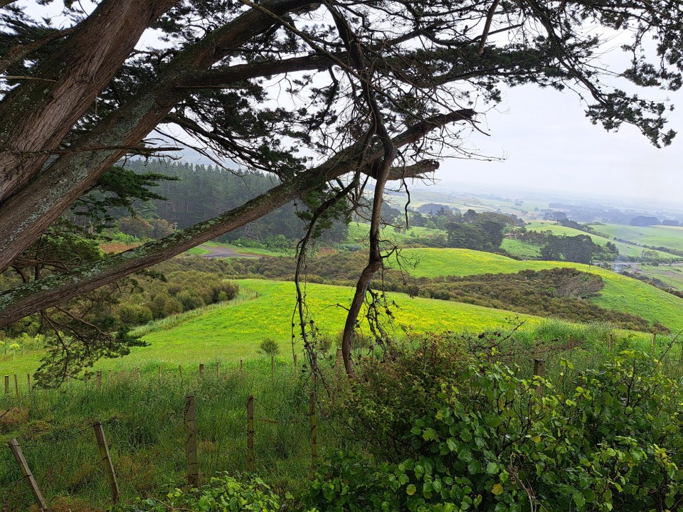 Neuseeland - Palmerston North - 