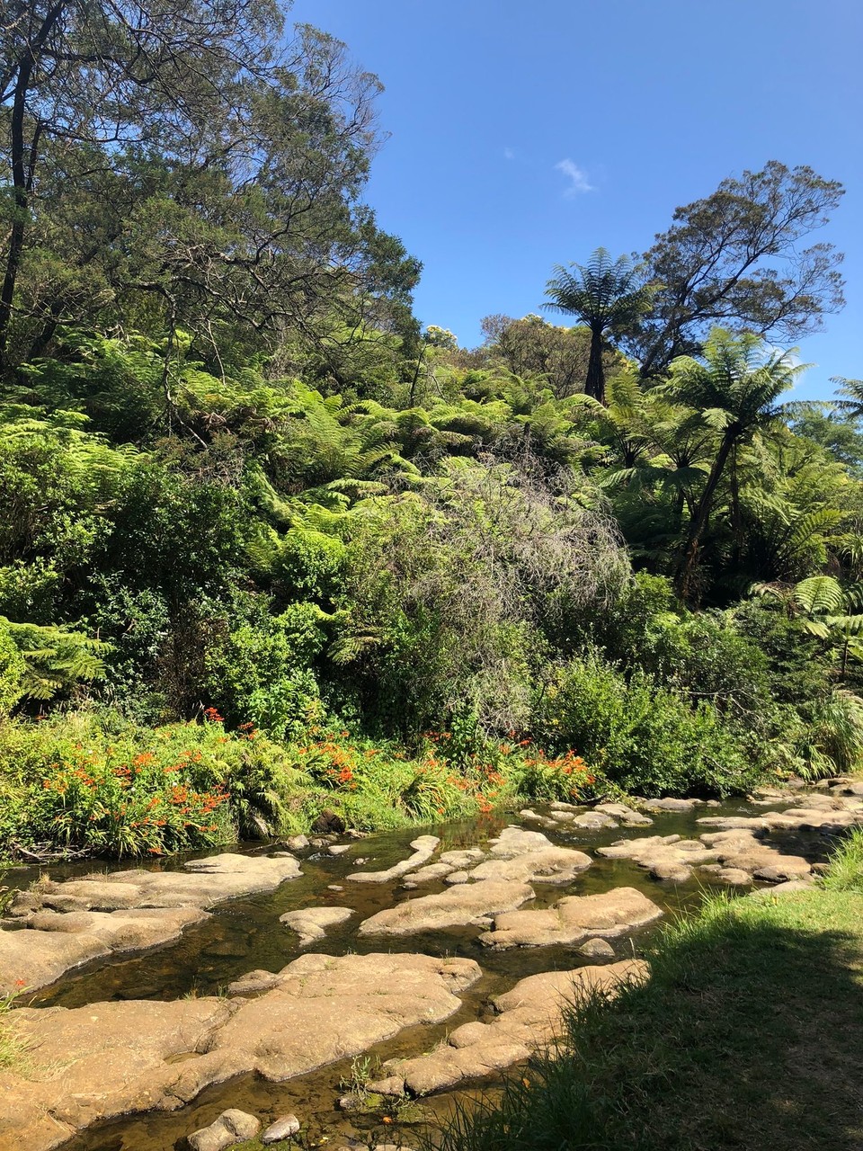 Neuseeland - Waihi - 