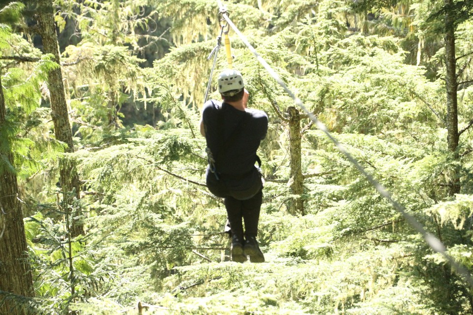 Canada - Whistler - Recht de bomen in!