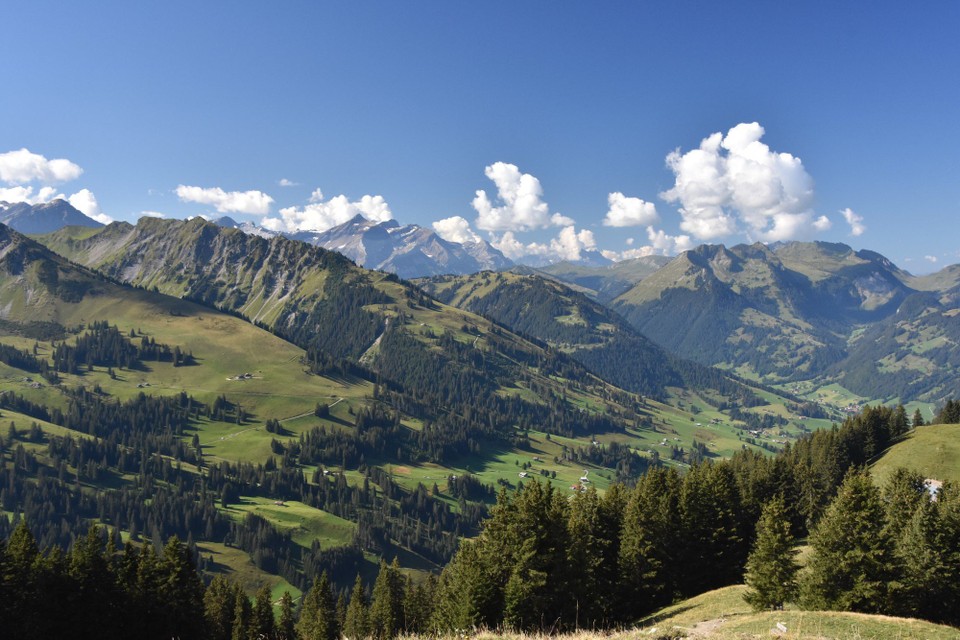 Schweiz - Zweisimmen - 