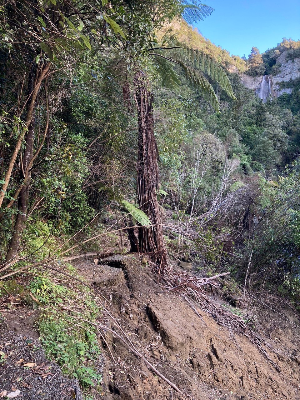 Neuseeland - Napier - Ganz bis an den Wasserfall haben wir es dann auch leider doch nicht geschafft 🤷🏻‍♀️ Da war der Weg dann einfach weg 🙈