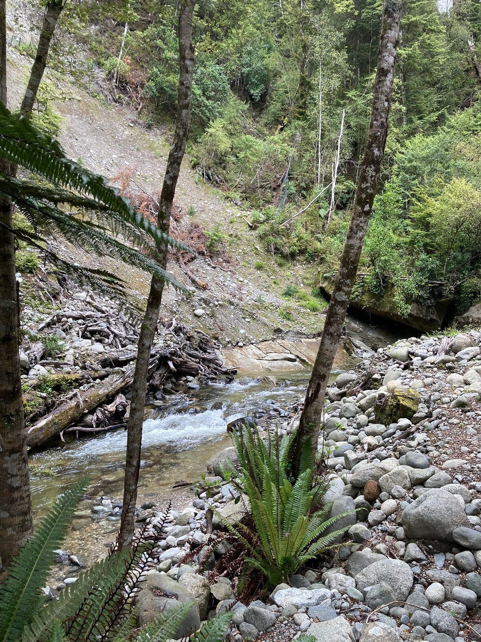 Neuseeland - Fiordland National Park - Es geht in die Glowworm Caves 😃
