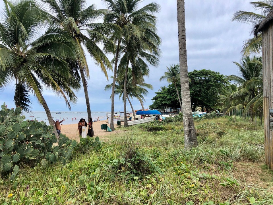 Brasilien - Mata de São João - Itasimirum