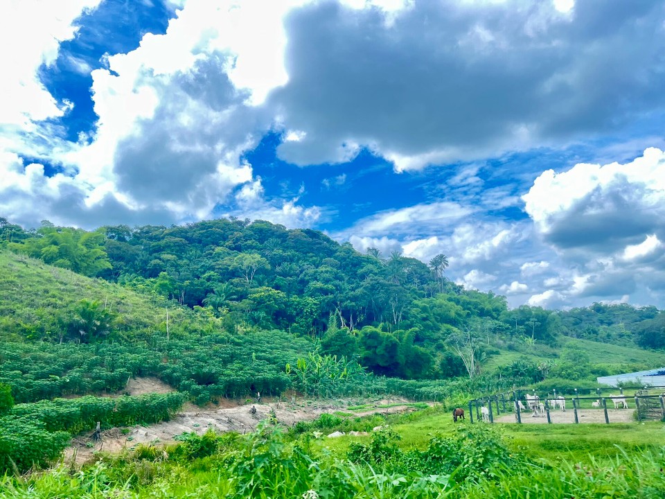 Brasilien - Salvador - 