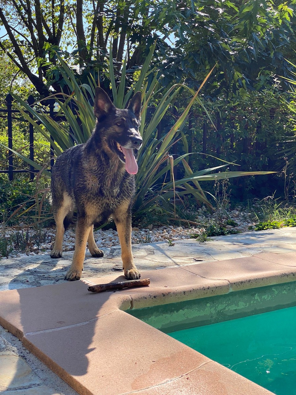 Frankreich - Tourrettes - 