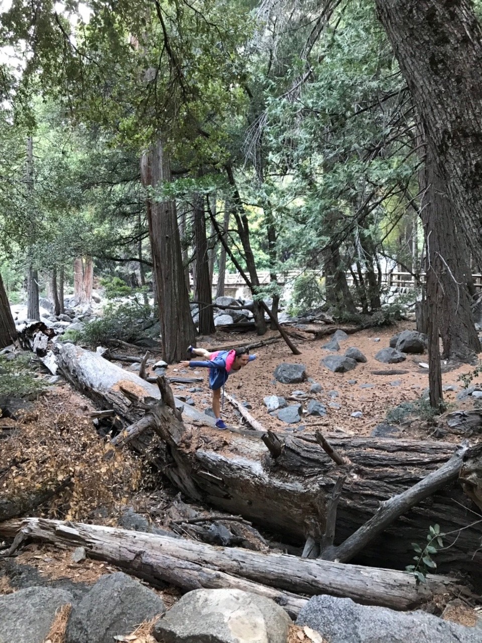USA - Yosemite-Nationalpark - 