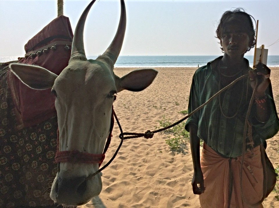 Indien - Gokarna - Spenden-Bulle