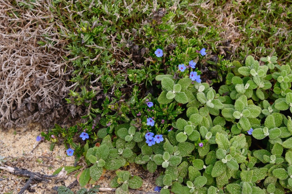 Portugal - Aljezur - 