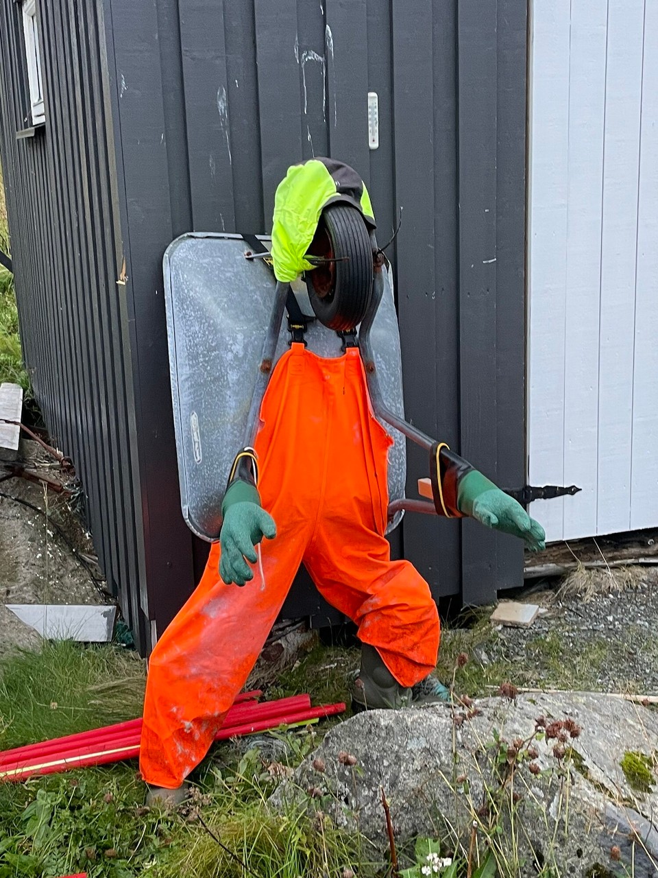 Norwegen - Senjahopen - Lustige Gesellen gibt es hier 