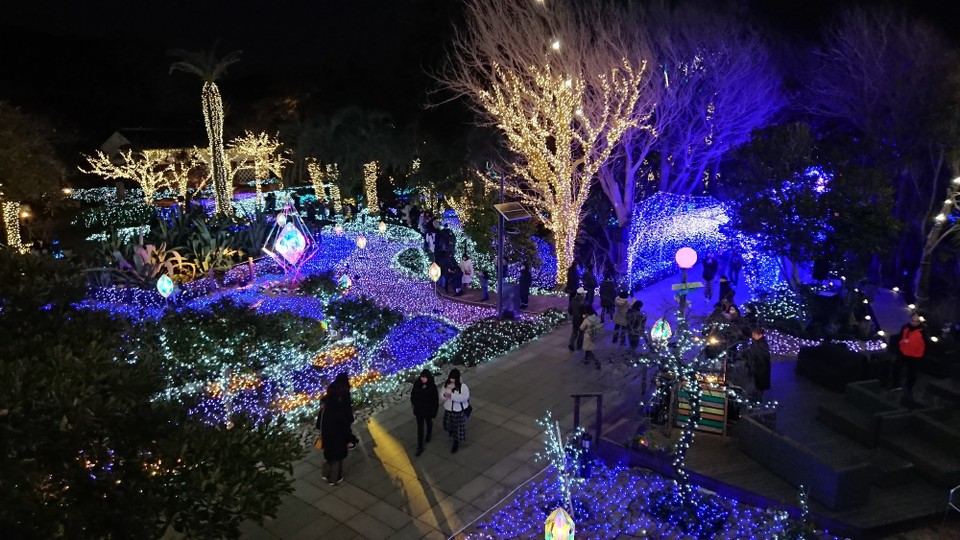 Japan - Fujisawa - Im Winter ist der Garten beeindruckend beleuchtet