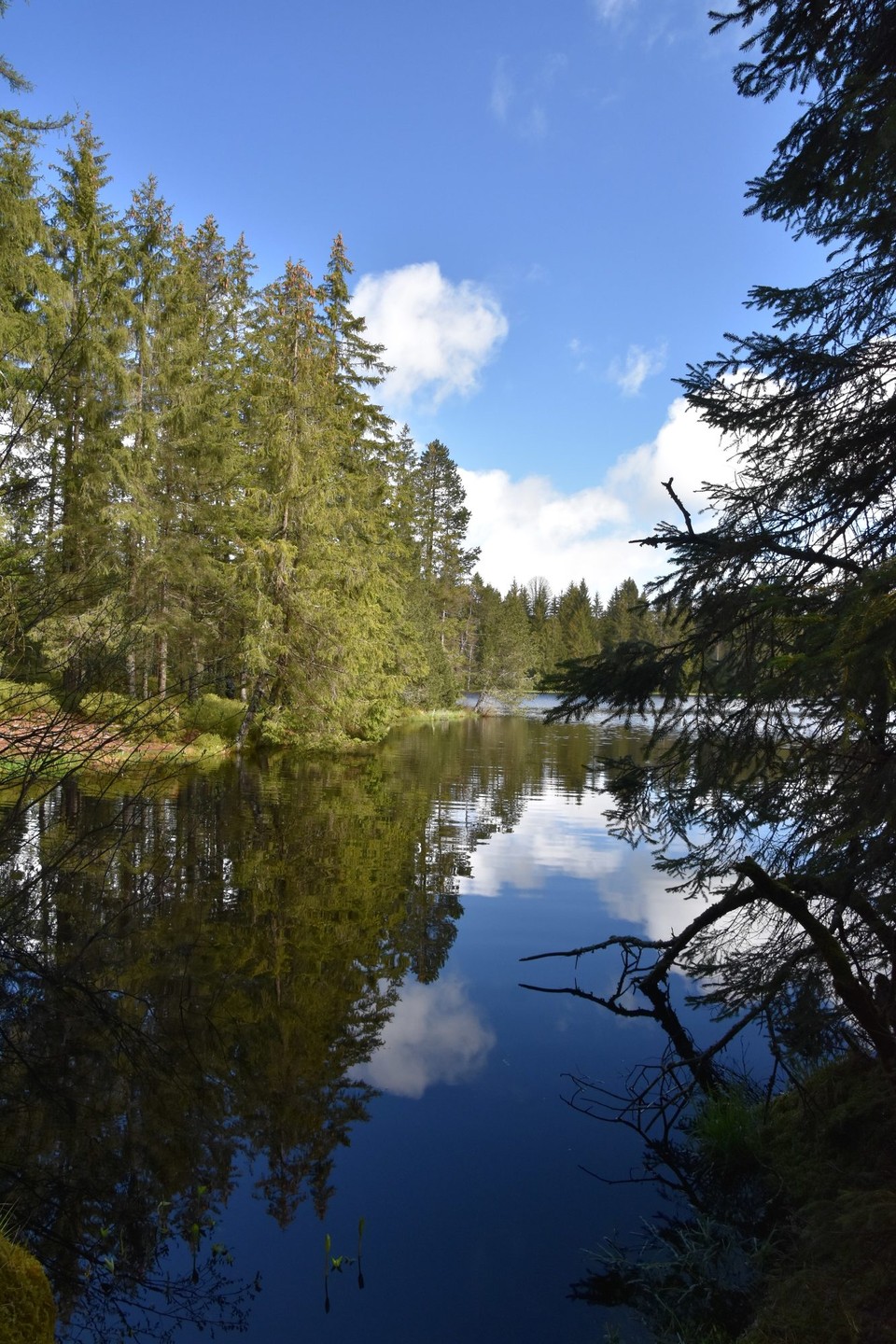 Schweiz - Schwende - 