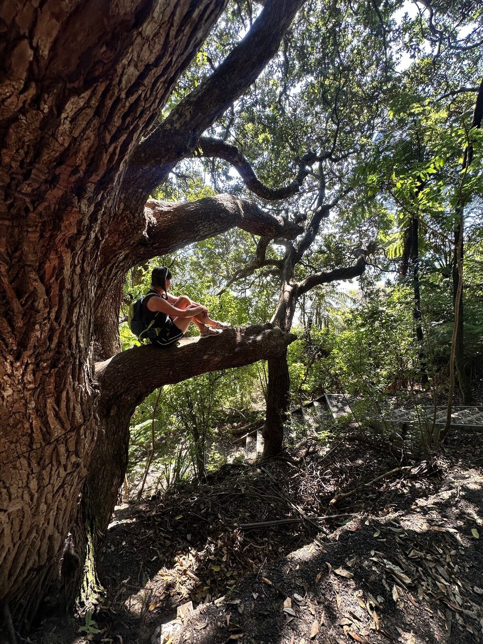 Neuseeland - Mount Maunganui - 