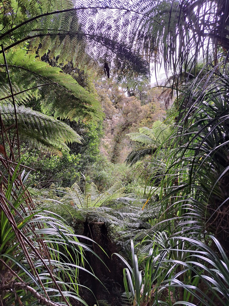 Neuseeland - Parawai Lodge - 