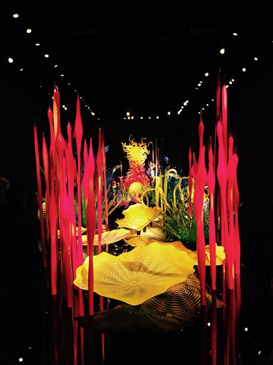 USA - Seattle - Dies soll die unterschiedliche Pflanzenwelt darstellen