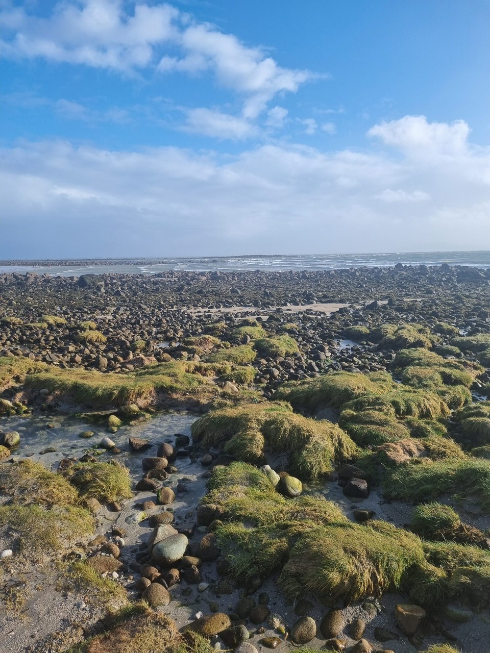 Irland - Galway - 