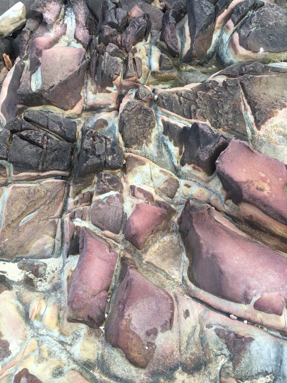  - Australia, Bonny Hills Caravan Park - 